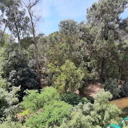 Forest View Lisboa المظهر الخارجي الصورة
