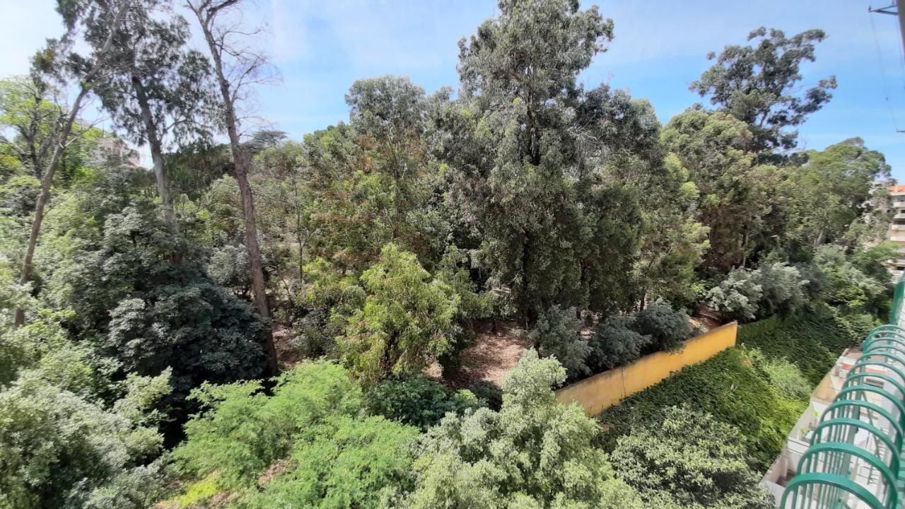 Forest View Lisboa المظهر الخارجي الصورة