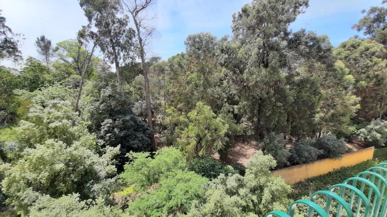 Forest View Lisboa المظهر الخارجي الصورة