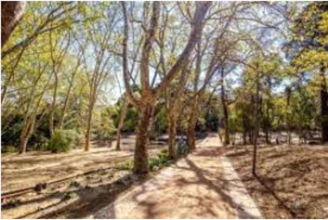 Forest View Lisboa المظهر الخارجي الصورة